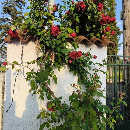 Πετρινη Κατοικια Στην Φυση Villa Tagarades Exterior photo