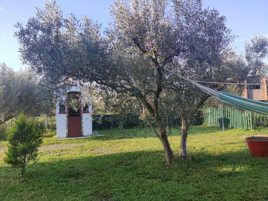 Πετρινη Κατοικια Στην Φυση Villa Tagarades Exterior photo